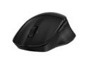 HP 480 - mus - comfort, full size