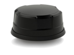 LG-IN2445