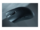Viper V4 Pro - mus