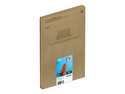Epson 250 Multipack EasyMail