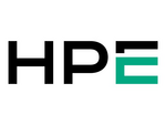 HPE - SSD - 920 GB - SAS 6Gb/s