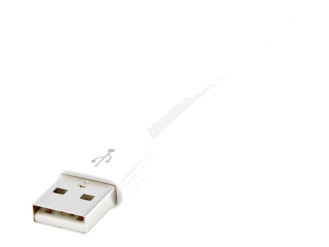 Nærbilde