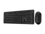 CW100 - tastatur- og mussett