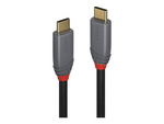 Anthra Line - USB type C-kabel